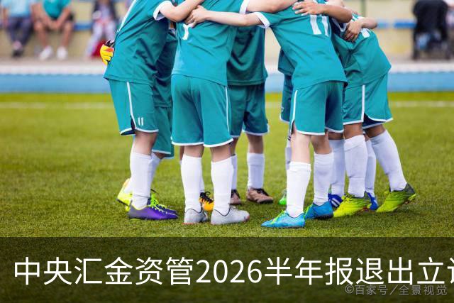 中央汇金资管2026半年报退出立讯精密前十大股东名单
