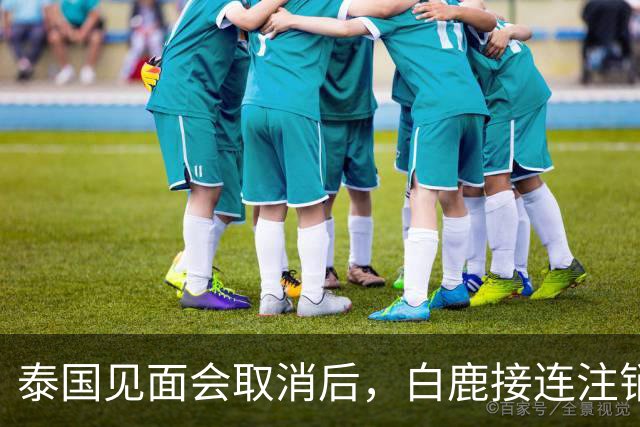 泰国见面会取消后，白鹿接连注销名下三家公司，网友：果然有猫腻