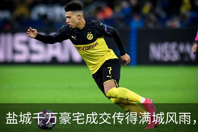 盐城千万豪宅成交传得满城风雨，中介的职业素养呢？